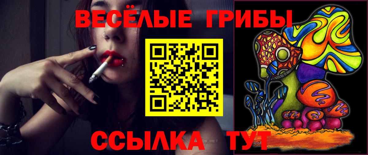 Галлюциногенные грибы MAGIC MUSHROOMS  Галлюциногенные грибы Psilocybine cubensis  Вход с VPN  Можайск 